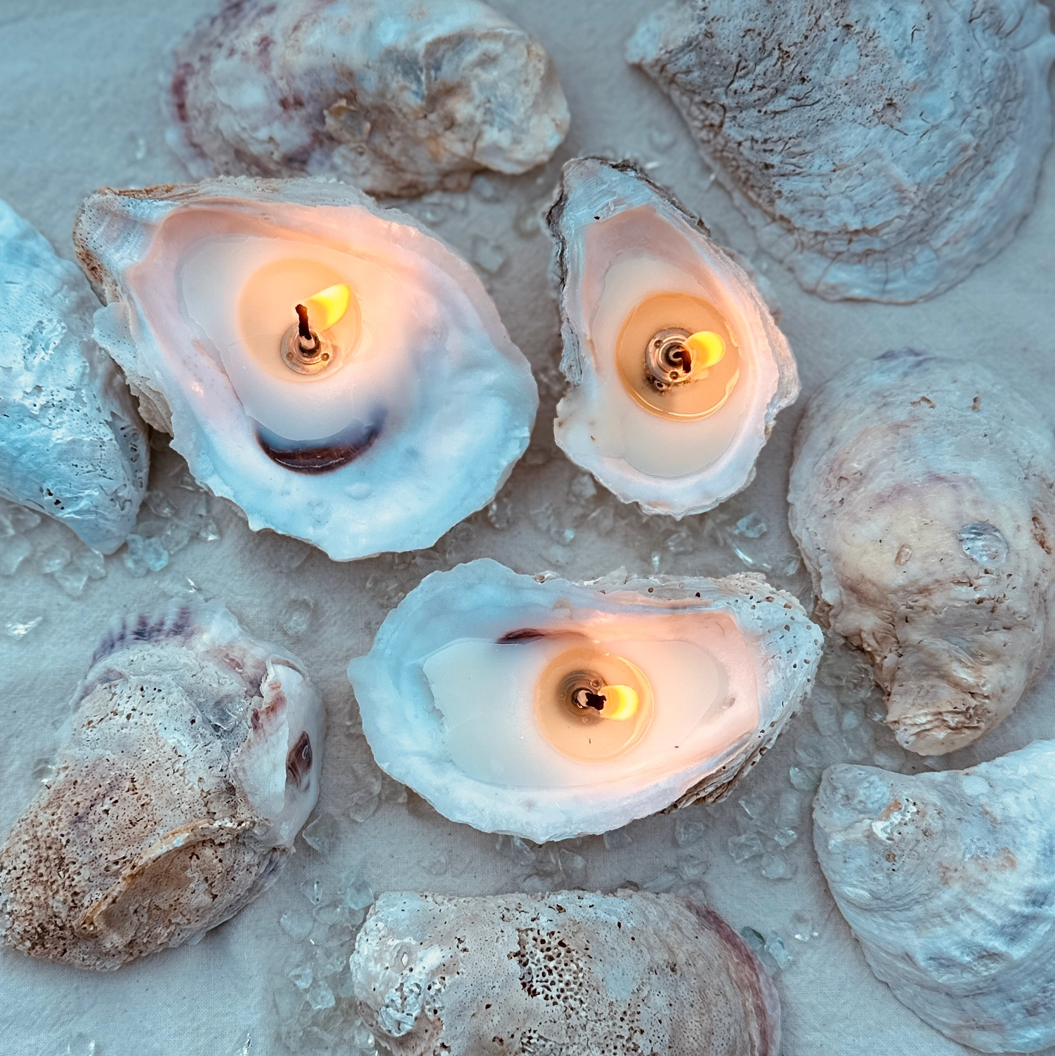 Beautiful ocean oyster shell candles glowing on the beach